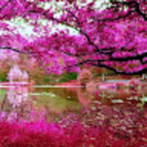 Meet your Posher, Manda